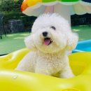 니멍내멍 이미지