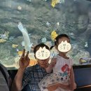 신세계어린이집 | 아기랑가볼만한곳 / 대구실내아기랑 가볼만한 곳(어린이집방학 대구 신세계 아쿠아리움 다녀 온 후기)