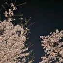 오M컨설팅