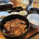 호원병원 | [세종/아름동] 지인에게 식사 대접하고 싶을때는 장어덮밥맛집 호원