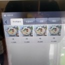 야옹이즉석떡볶이
