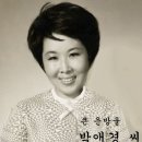 박애경 / 한많은 아리랑 (데뷔곡 1955년) 이미지
