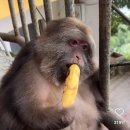 여주-0331 이미지