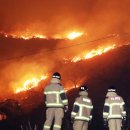 밀양 산불 진화율 51%