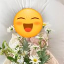 플로리아제이