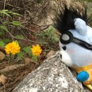 돌체펜션2 이미지