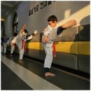 빛나는태권도장 이미지