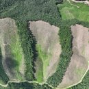 서부지방산림청(정읍국유림관리소) 이미지