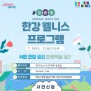 웰니스 티스토리
