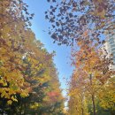 비슬동물병원 이미지