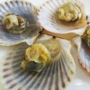 남해 회 해산물 이미지