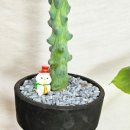 용비농장 이미지