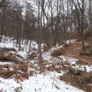 둔일농장 이미지