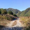 해미레2 Daum카페