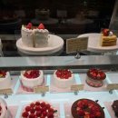 제일제당 뚜레쥬르 이미지