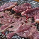 알프스염소