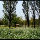 보라매공원 이미지