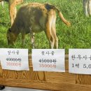 이정재한우식육식당