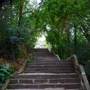 동처농장 이미지