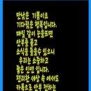 노노레타