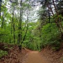 수리산 임도오거리 화장실 이미지