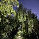 청계천로 이미지