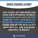 구일동물병원 네이버블로그