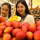 애플망고 이미지