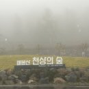 백두대간로 | 매봉산 천상의 숲 숲속의 집 205호 이용후기. 추천동은?