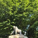 뒷골입구(과천동대여소) | 과천여행 / <과천 서울대공원> 동물원 래서판다&amp; <더차돌> 오리고기후기 ❤️