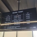 파주뮤지엄헤이 | 파주 뮤지엄헤이 후기 — 국내 최대 실감형 미디어아트, 헤이리 인근 인생샷 명소