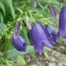 직지사길 이미지