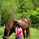 속사초등학교 이미지