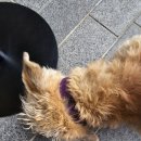 4321 | 2025. 12. 13. 토. 크리스마스 디자인 마켓(4321-마켓) 후기 in 주한 스위스 대사관