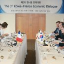 아그네스 통상 이미지