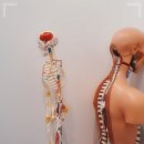 이나핏필라테스&피티 이미지