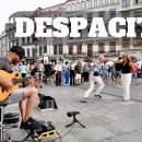 데스파시토 이미지