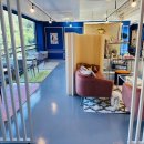 루이비독 이미지