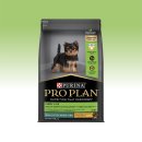 퍼피플랜 이미지