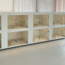 베이비댕 이미지