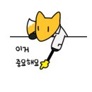 마케터야로 | [공지] [특급 가이드] 단순 활용은 끝났다! '구글 AI 생태계'로 업무 효율 1000% 높이는 법 (ft. 디노에...