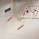 작은대사리 이미지