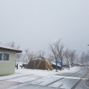 영월 동강오토캠핑장 이미지