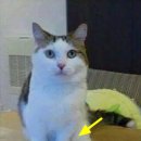 깔깔깔 이미지