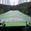 다일락스포렉스 이미지