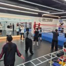 최고체육관 복싱클럽 이미지