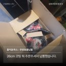 푸른공조 이미지