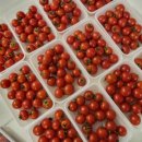 다대건강생활지원센터 이미지