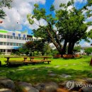 전남과학대학교산학협력단 이미지