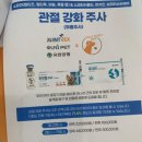 조인트 동물병원 이미지